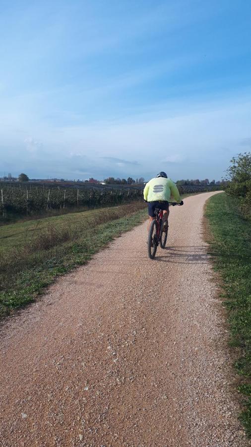 Sulla Ciclabile Apartment Lungo Il Fiume Adige Zevio Εξωτερικό φωτογραφία