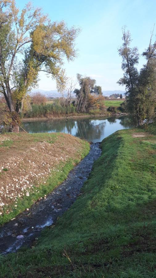 Sulla Ciclabile Apartment Lungo Il Fiume Adige Zevio Εξωτερικό φωτογραφία