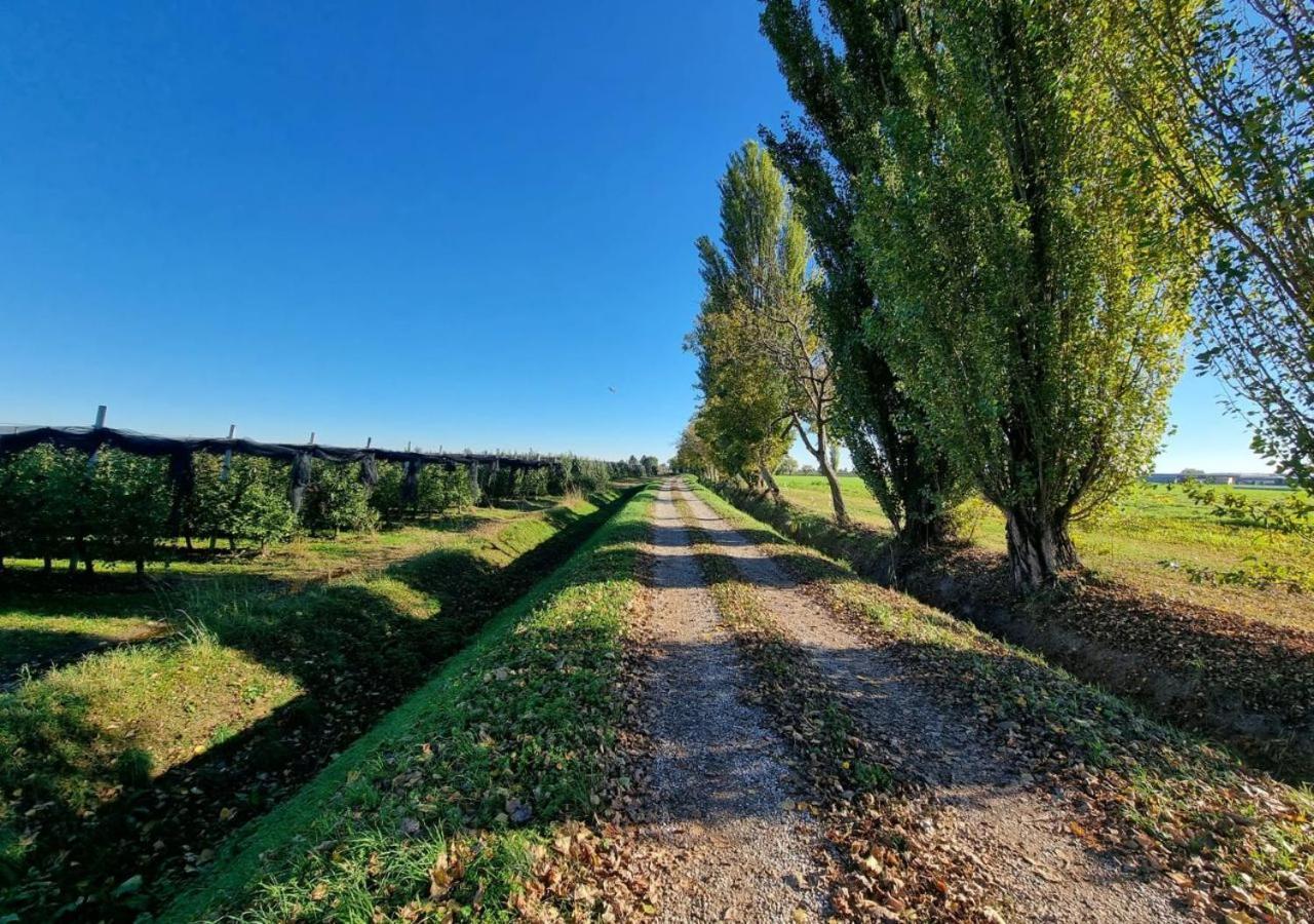 Sulla Ciclabile Apartment Lungo Il Fiume Adige Zevio Εξωτερικό φωτογραφία
