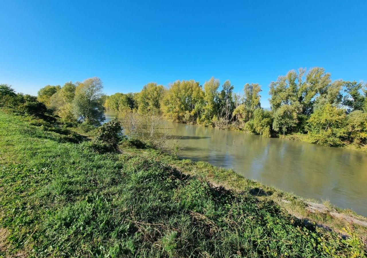 Sulla Ciclabile Apartment Lungo Il Fiume Adige Zevio Εξωτερικό φωτογραφία