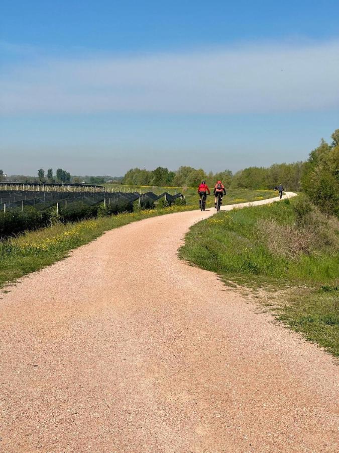 Sulla Ciclabile Apartment Lungo Il Fiume Adige Zevio Εξωτερικό φωτογραφία