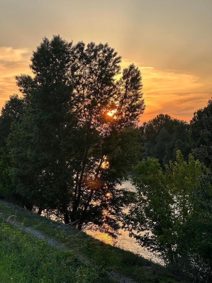 Sulla Ciclabile Apartment Lungo Il Fiume Adige Zevio Εξωτερικό φωτογραφία
